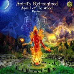 Spirit of the Wood - Silence (Ashvattha Project guest remix for Visionary Shamanics Records)