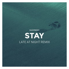 Stay (Late at Night Remix)
