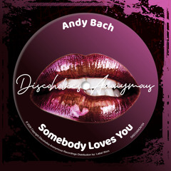 Somebody Loves You (Disco Funk Mix)