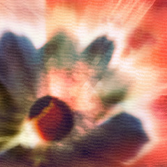 KIKA (MD) - Walking Slowly in the Chaos [PREMIERE]