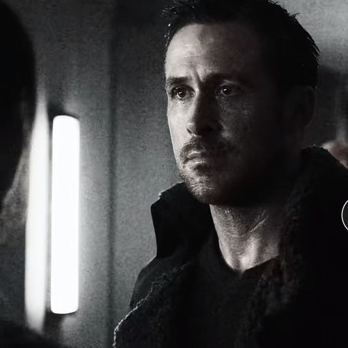 you liked her i could tell