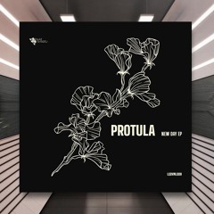 Protula - Vanilla [Liquid Brilliants] PREMIERE