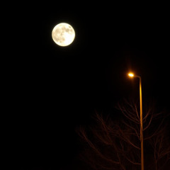 Midnight