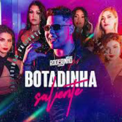 BOTADINHA SALIENTE   ROGERINHO