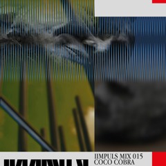 IIMPULS #15 - COCOCOBRA