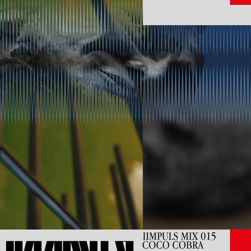 IIMPULS #15 - COCOCOBRA