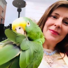 Where Have All The Happy People Gone?