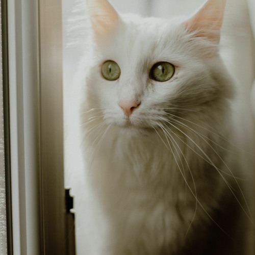 Андрей Вертий Новости опубликованы в Интернете вместе с последними изображениями в открытом доступе