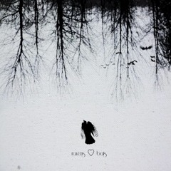 ravens n bats