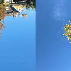 today, the world felt more round_20211020