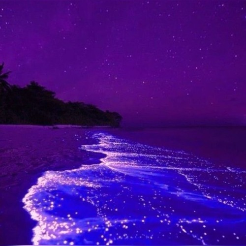 rock with u - ambient