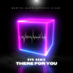 Martin Garrix & Troye Sivan - There For You (EVO REMIX)