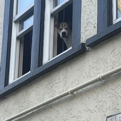 Outlandish VN 25 Mix