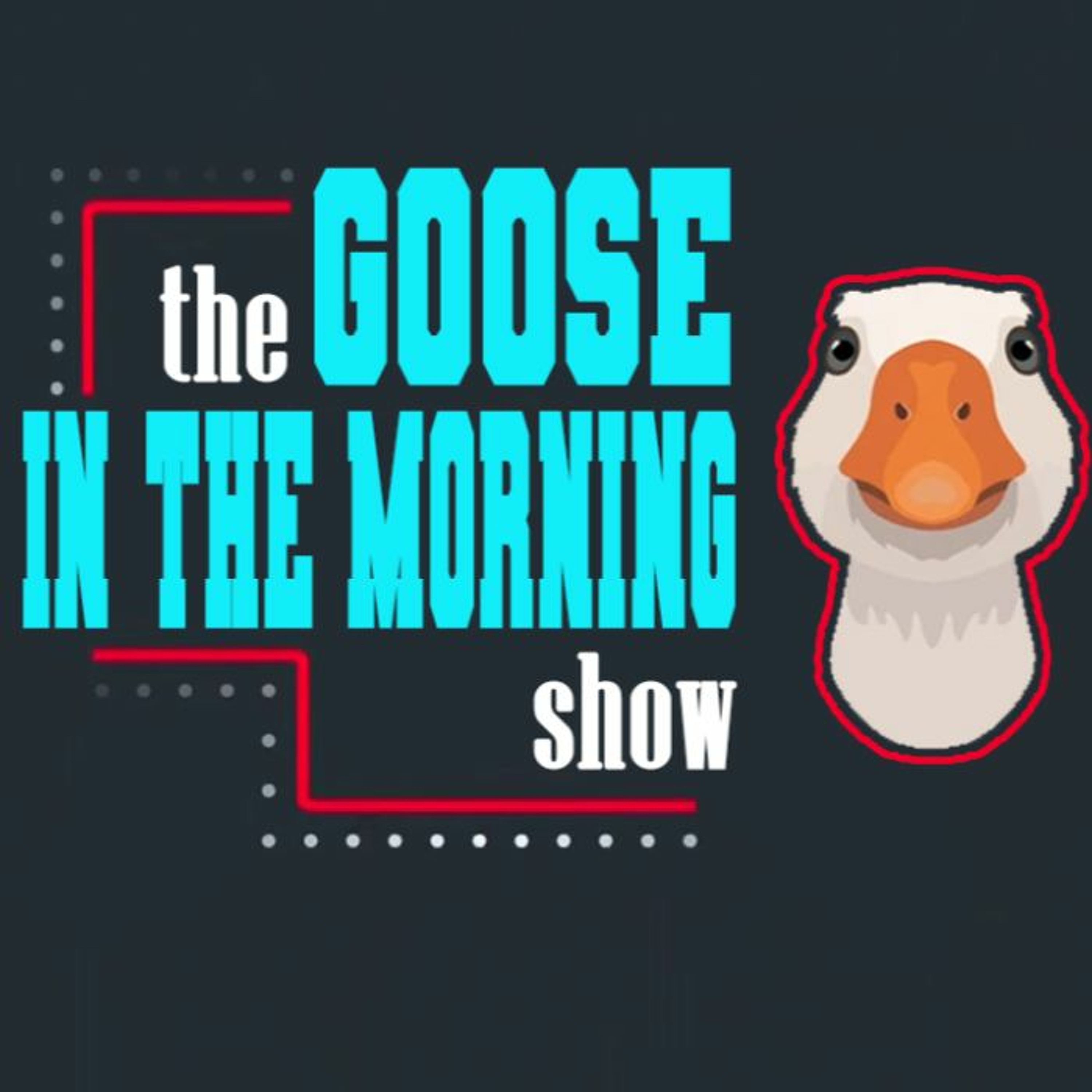 Goose In The Morning