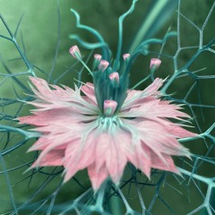 Melted Memories (02/09/21) w/Brahim Lumière and Кот Баюн