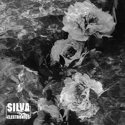 juneunit - zeniquin (Doc Sleep's Cat Lady Remix) - Silva Electronics (SE14)