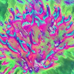Digital Blossom