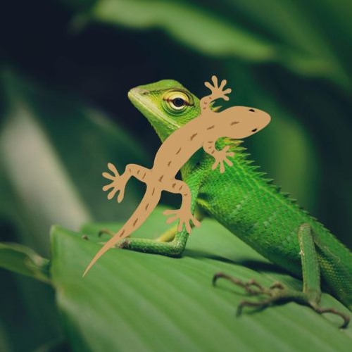 lizardcore