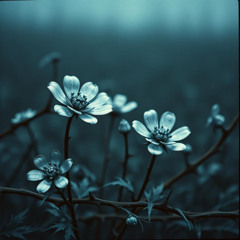 Iron Petals