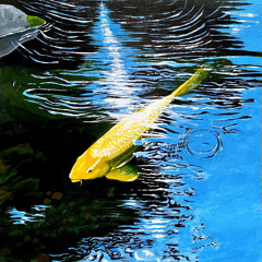 pond