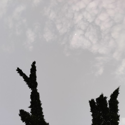 Curvilínea // home #3