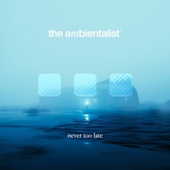 The Ambientalist - Never Too Late