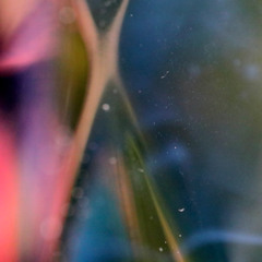 X.Y.R. - Blissadness 2