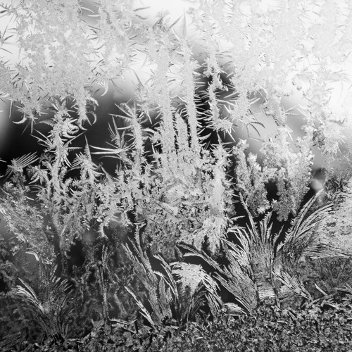 Coalescence