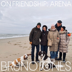on Friendship: Arena
