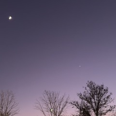 soundcloud favorites