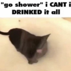becky g - singing in the shower hardstyle remix (nxc)