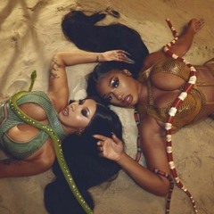 wap remix (tik tok-edited)