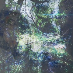 polistirex prod asherah