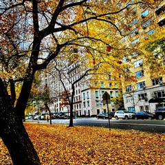 Fall On 5th Avenue