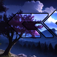polarvoid