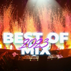 BEST OF 2023 - 2024 EDM MIX - Sick Drops & Rewind Mix