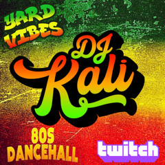 1-01 DJ Kali_ Yard Vibes Mix 4_23_25 (100% Vinyl)