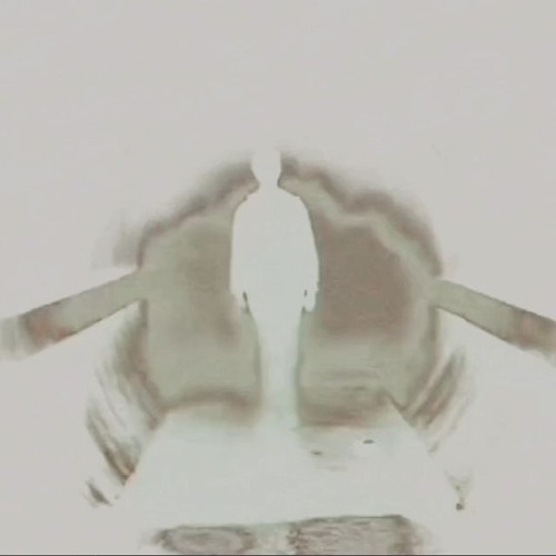 Pulse of the Awakening