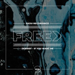 Debrief - If You Want Me - Free Download