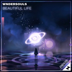 WnderSouls - Beautiful Life