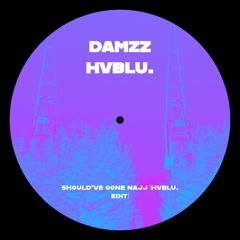 Should've Gone Najj (hvblu. edit) [FREE DL]