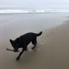 Walking in the Rain