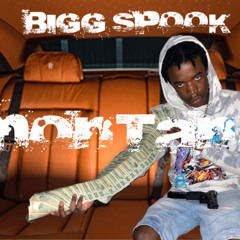 Bigg Spook - Montana (Official Audio)