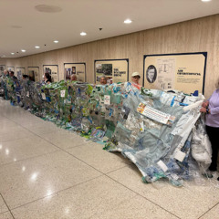 How Paid Lobbyists Defeated Packaging Reduction