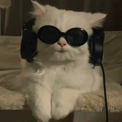 SPECIAL MIXTAPE #IBNURISKYY