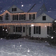 forgotten snowy garden