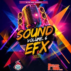 DJ TAY WSG - SOUND EFX VOL.6 (AUDIO PREVIEW)