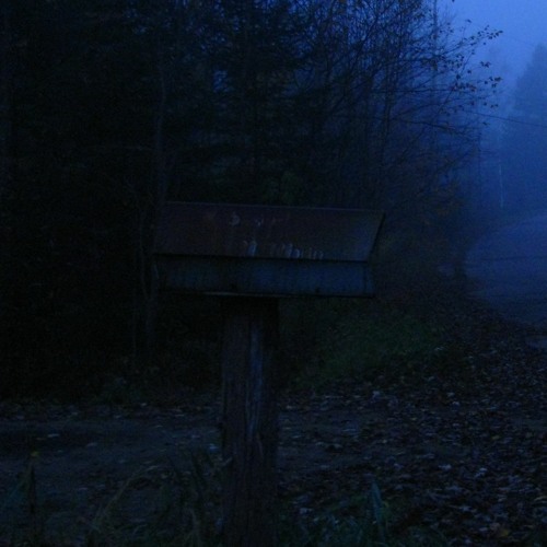 Cool Mood 2022 10 23