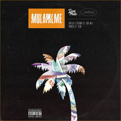MulaPalme