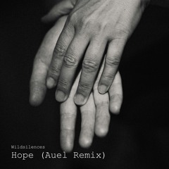 Wildsilences - Hope (Auel Remix)